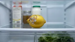 Limonları Buzdolabında 40 Güne Kadar Taze Tutmanın Yolları